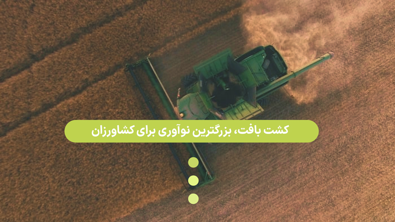 کشت بافت: کلید تولید محصولات کشاورزی باکیفیت و پایدار